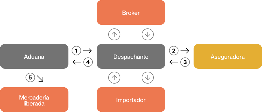 diagrama Aduana, Despachante, Importador, Broker y Aseguradora